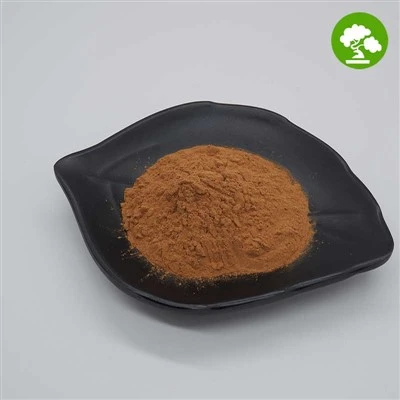 Coptis Chinensis izvleček v prahu